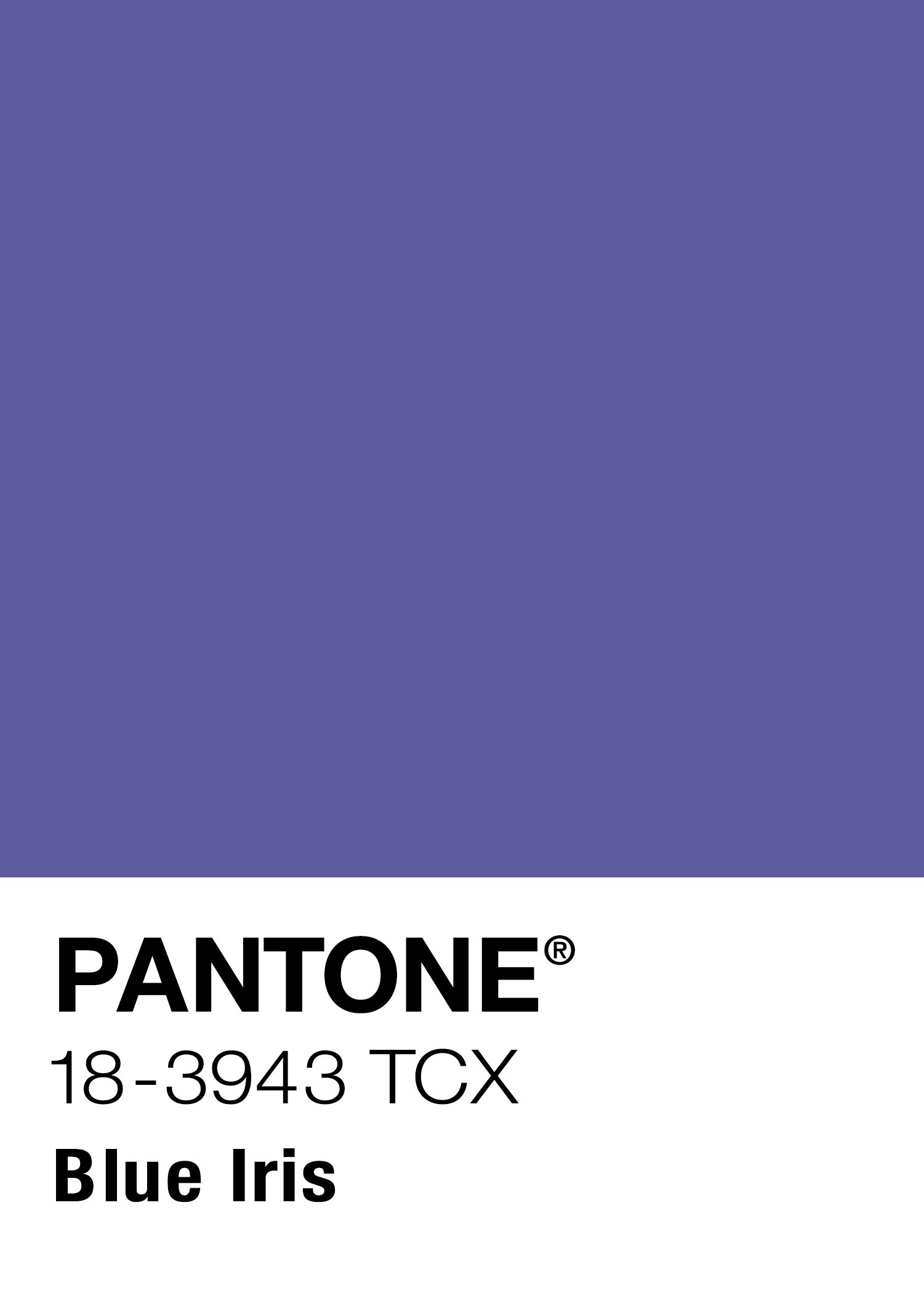 Blue Iris FULL Color Pantone Swatch.jpg