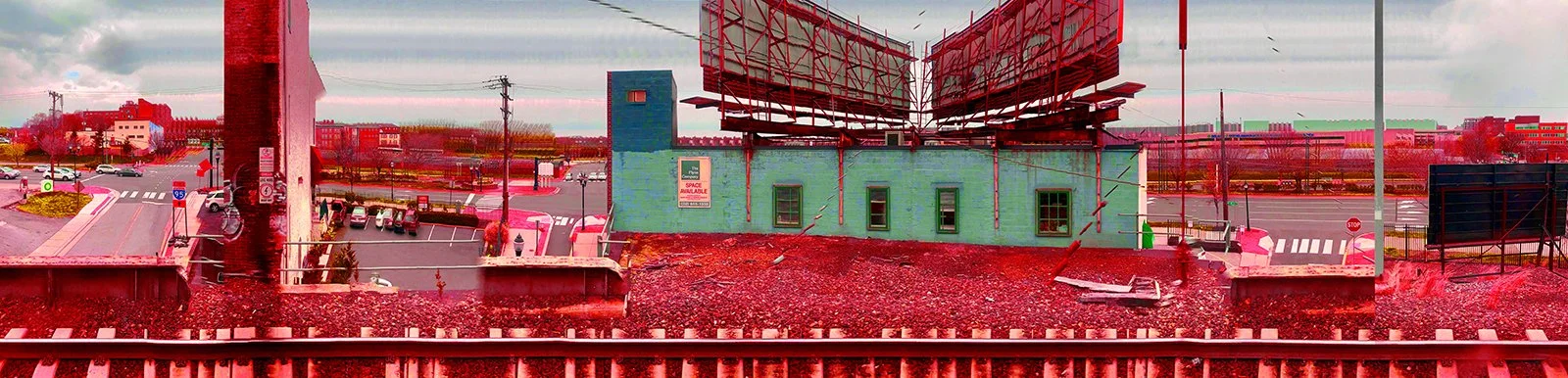 Public Amnesia COLORED 2 WEB.jpg