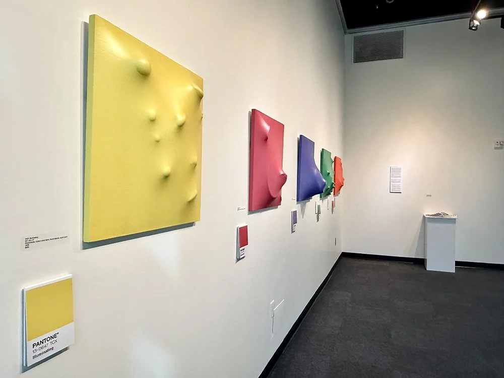 UPSTATE Exhibition 4 WEB.jpg