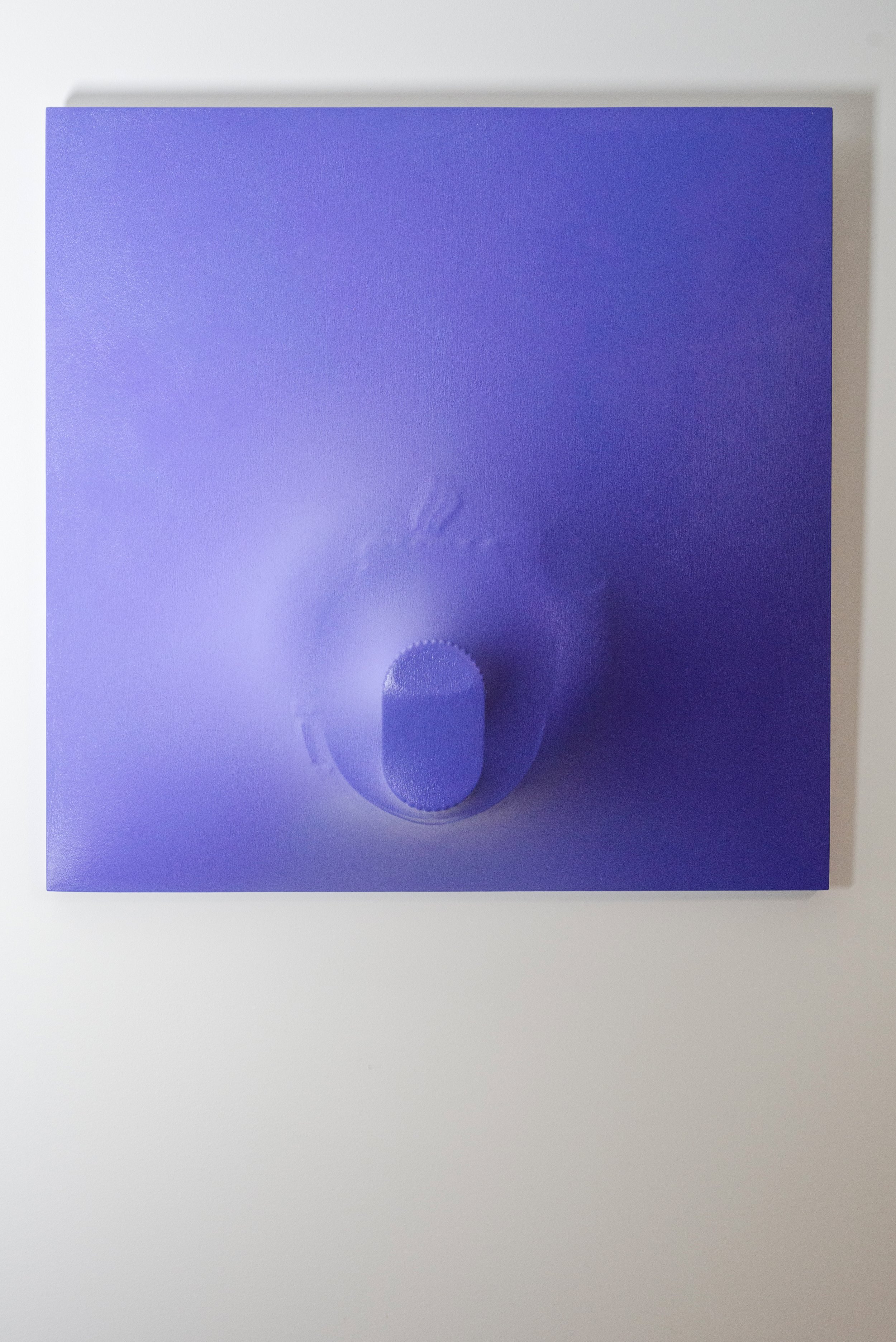 2008 Blue Iris Front View.jpg