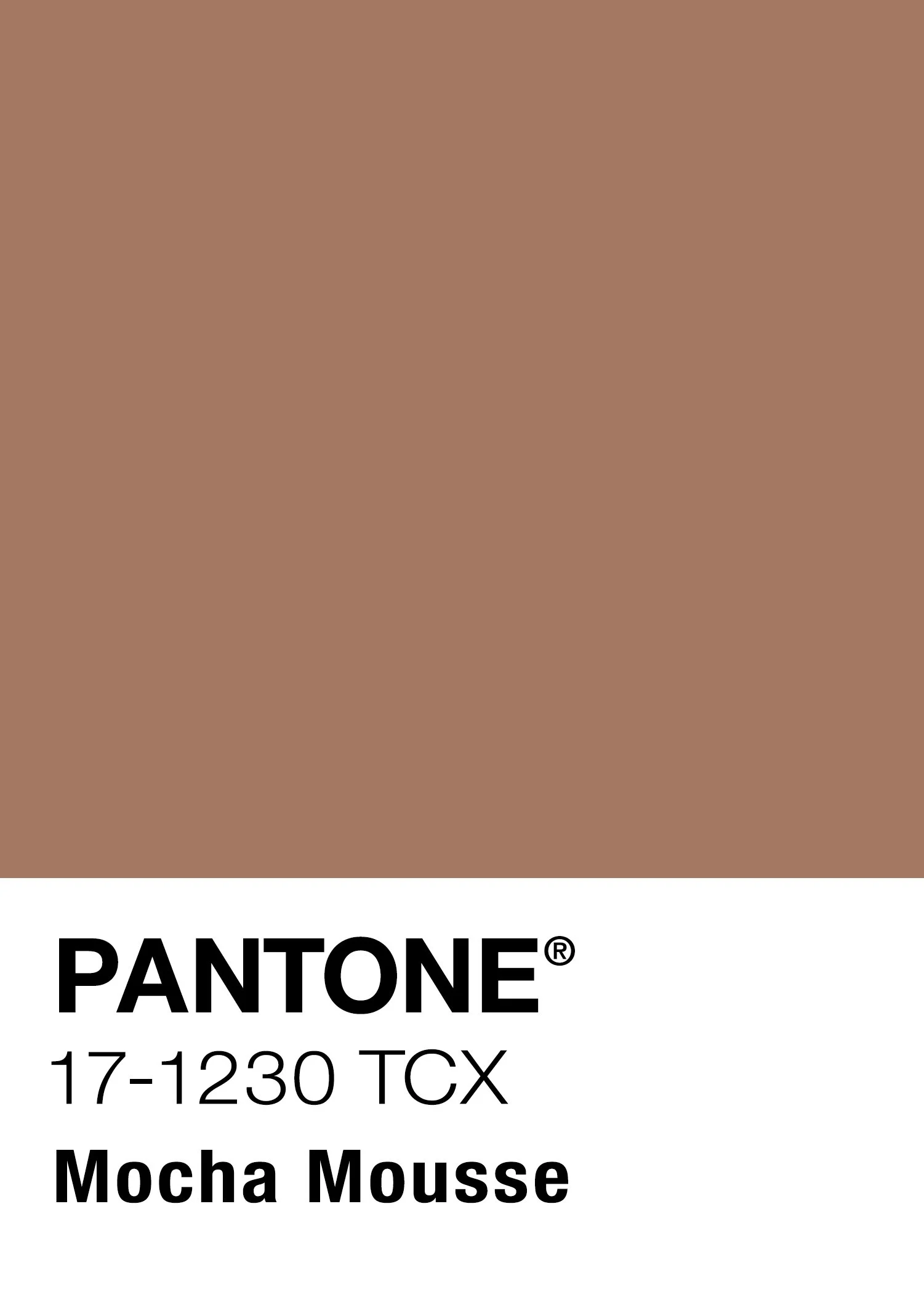2025 Mocha Mousse FULL Color Pantone Swatch.jpg
