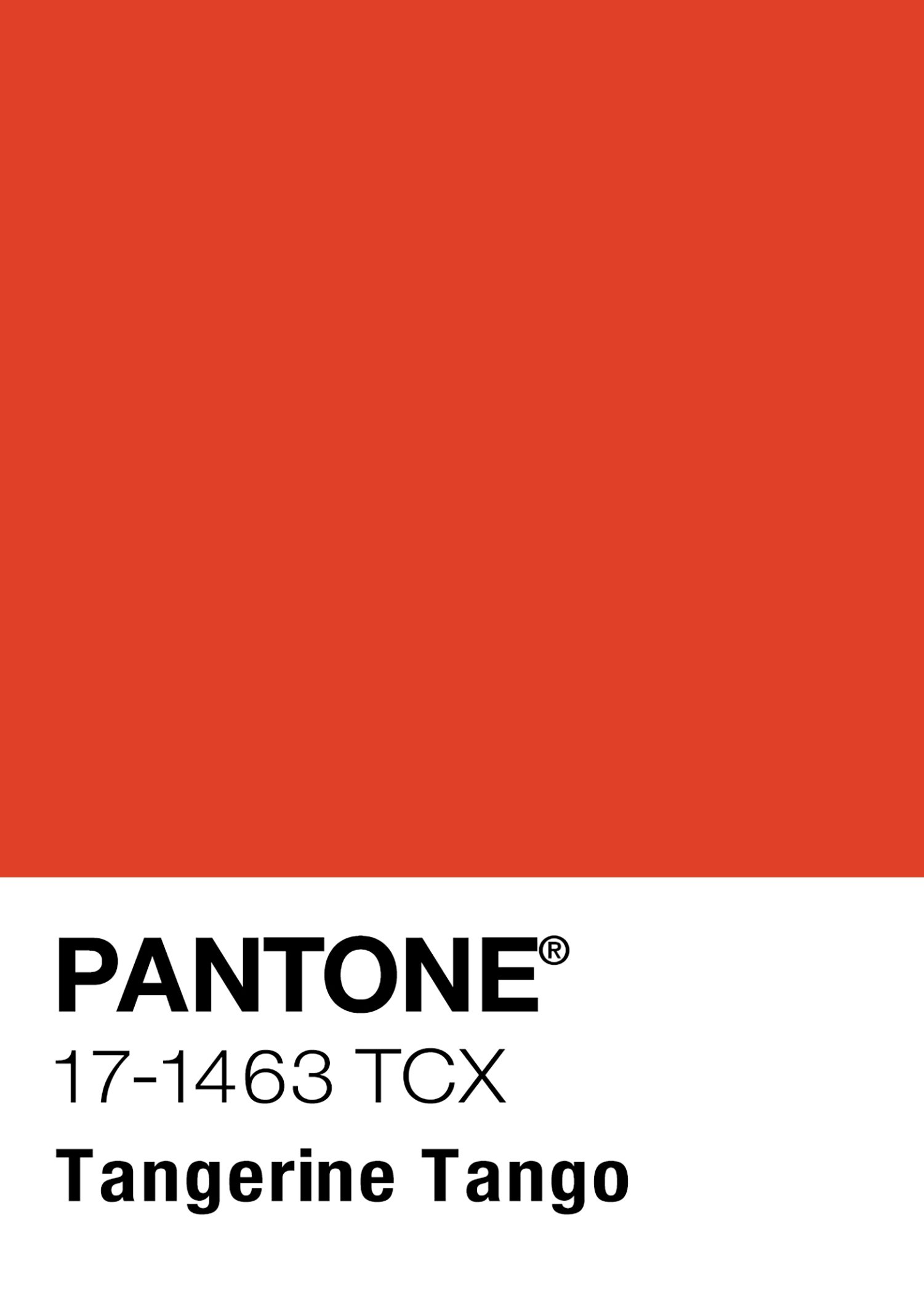 Tangerine Tango FULL Color Pantone Swatch.jpg