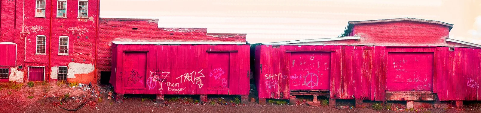 Vagabond - Colored NEW PINK WEB.jpg