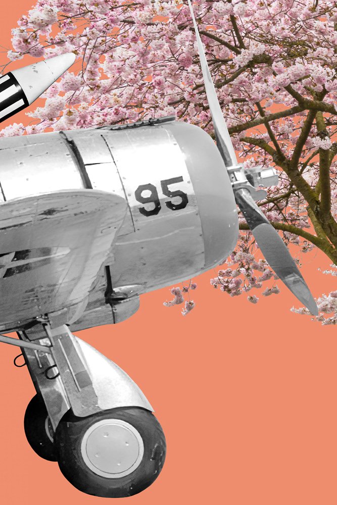 3-Airplane-Front.jpg