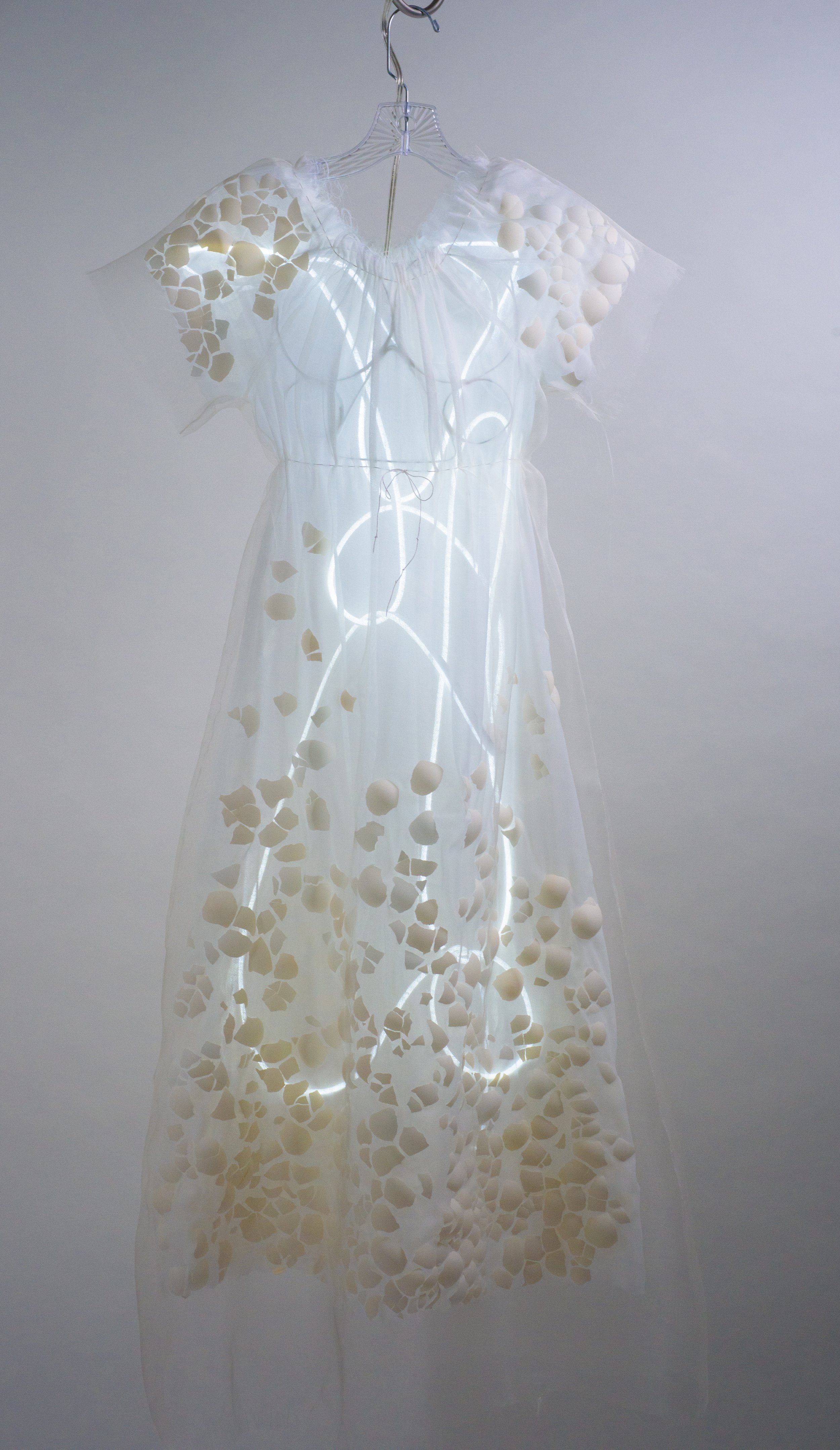Eggshell Clothing New.jpg