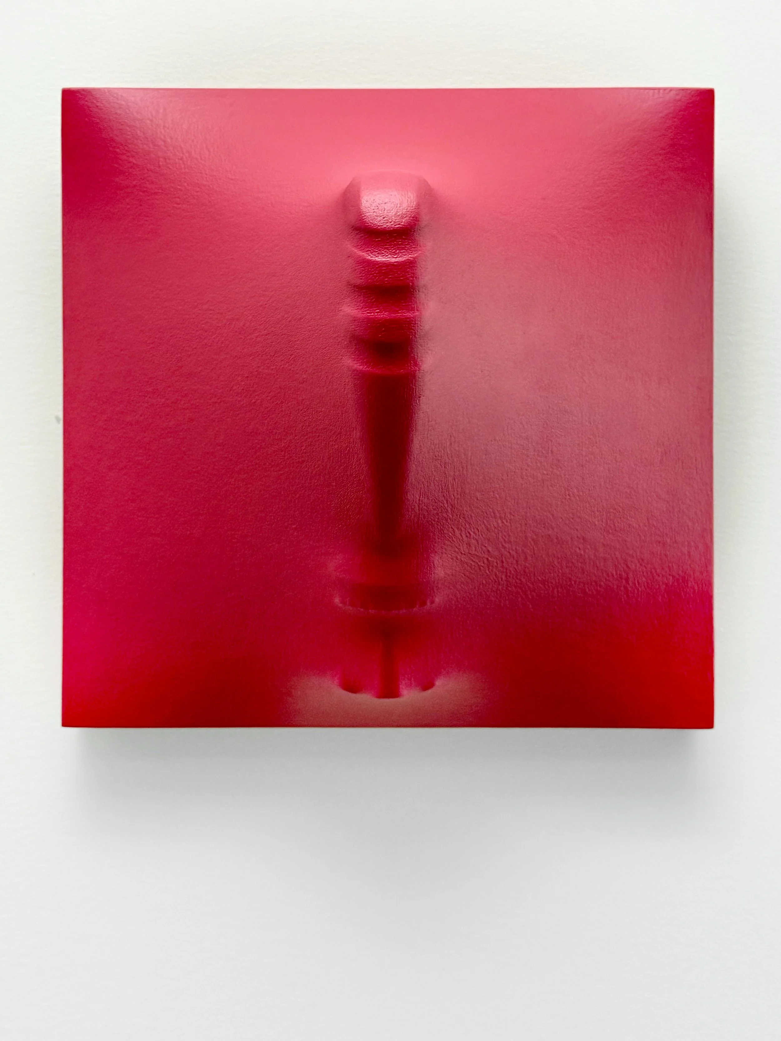 2023 Viva Magenta Front View 2.jpeg