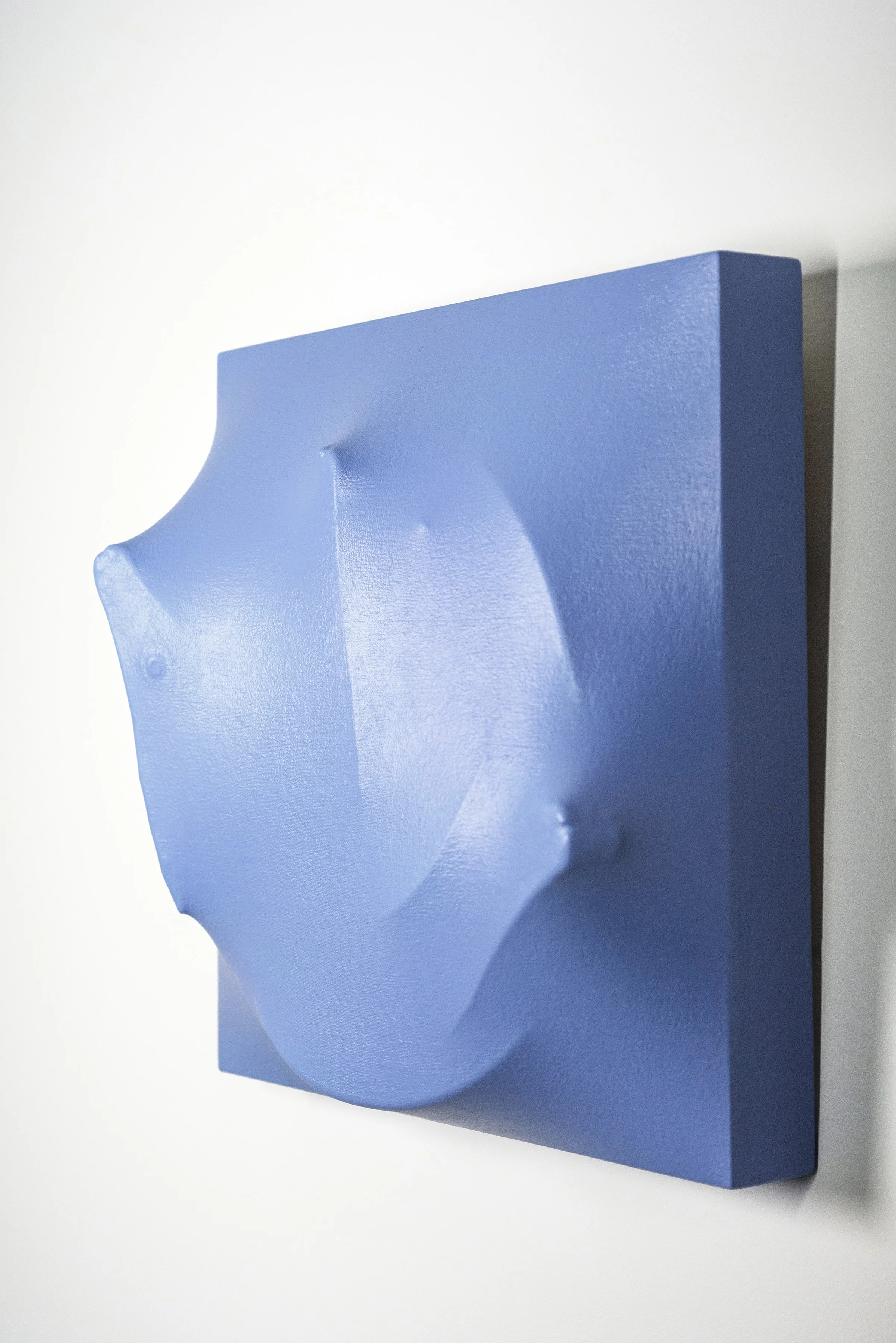 2016 Serenity Right Side View WEB.jpg