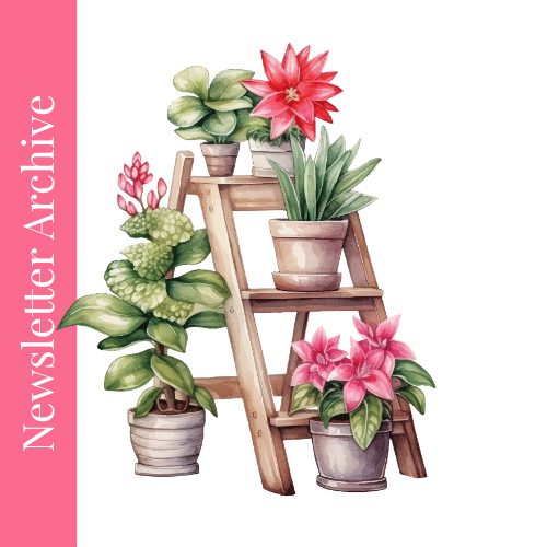 Unlock More Time and Energy for Your Business with Expert Delegation