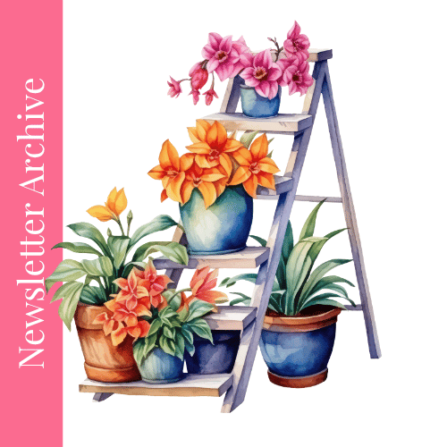 Transform Your Vision into Reality Without the Overwhelm