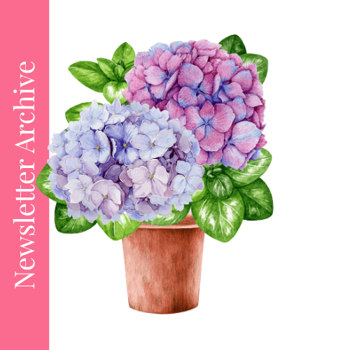 Elevate Your Business with Online Courses: The Power of Continued Learning!