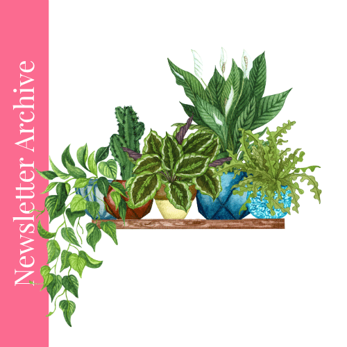 The Necessity of Systems and Processes in Small Businesses