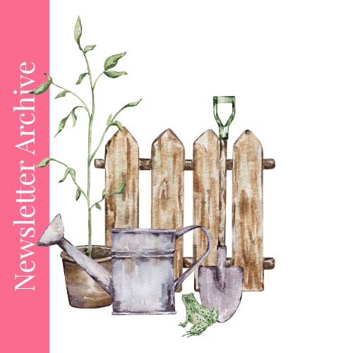 Effective Issue Resolution Strategies