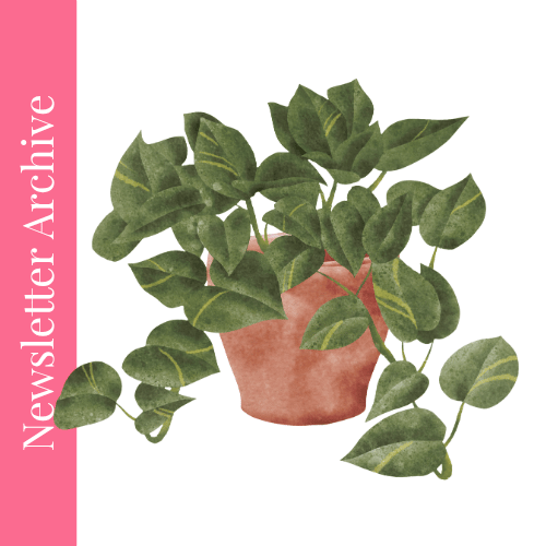 Streamlining Your Business with SOPs