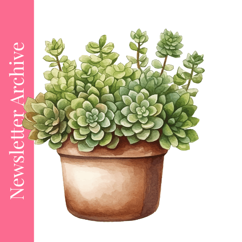 Exciting Changes Are Here!