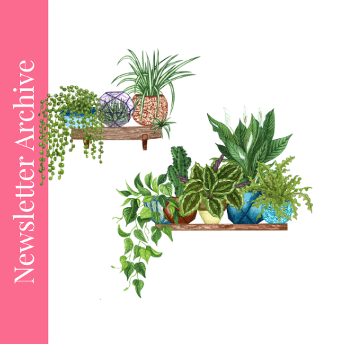 The 90-Day Sprint: Your Roadmap to Rapid Growth