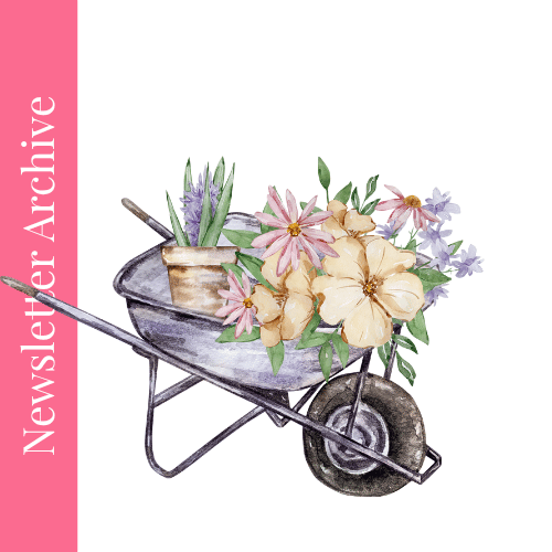 Stop tracking everything — focus on what matters 