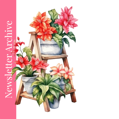 Start the year with clarity, not clutter ✨