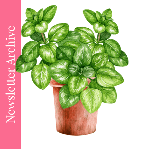 Start with these 3 foundations before you burn it all down and rebuild.