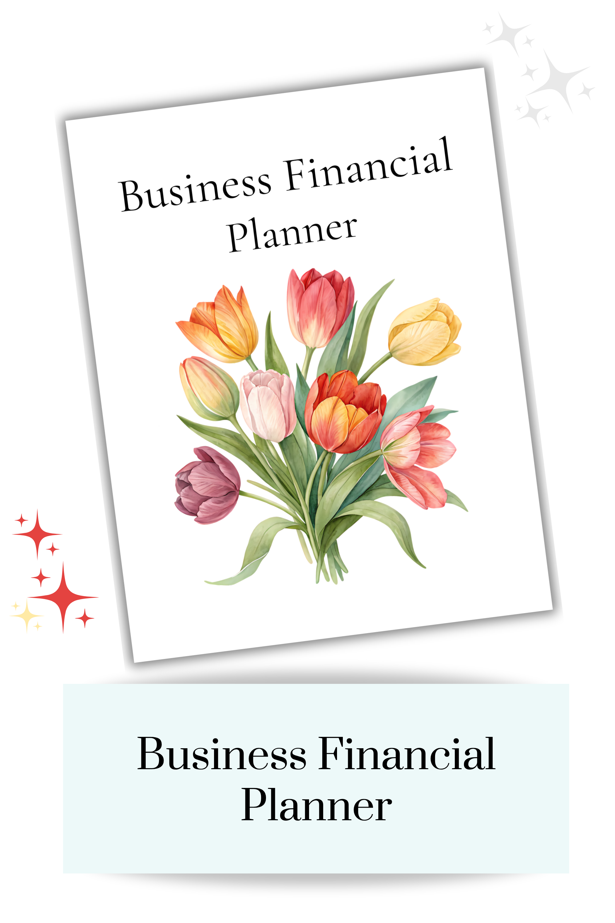 Business Financial Planner Mockup 1.png