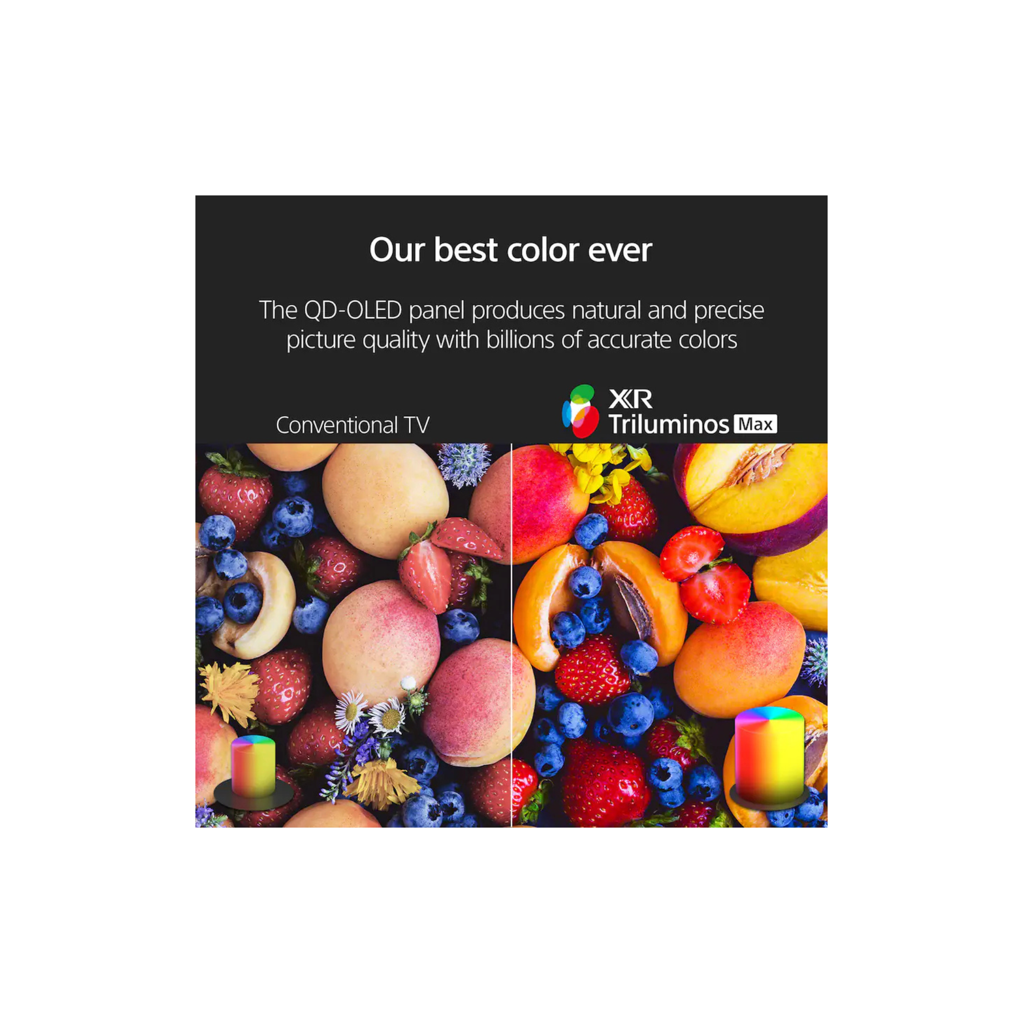 Untitled design (60).png