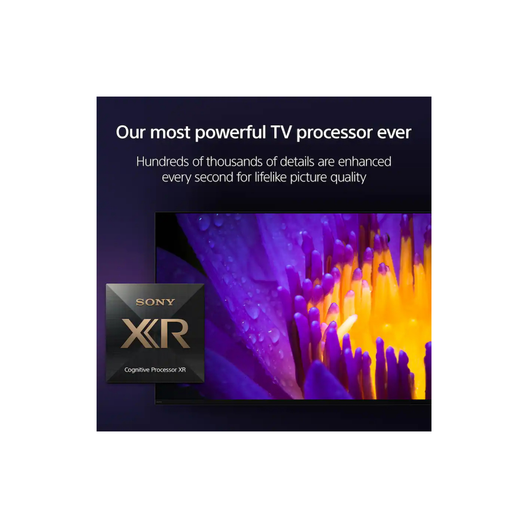 Untitled design (65).png