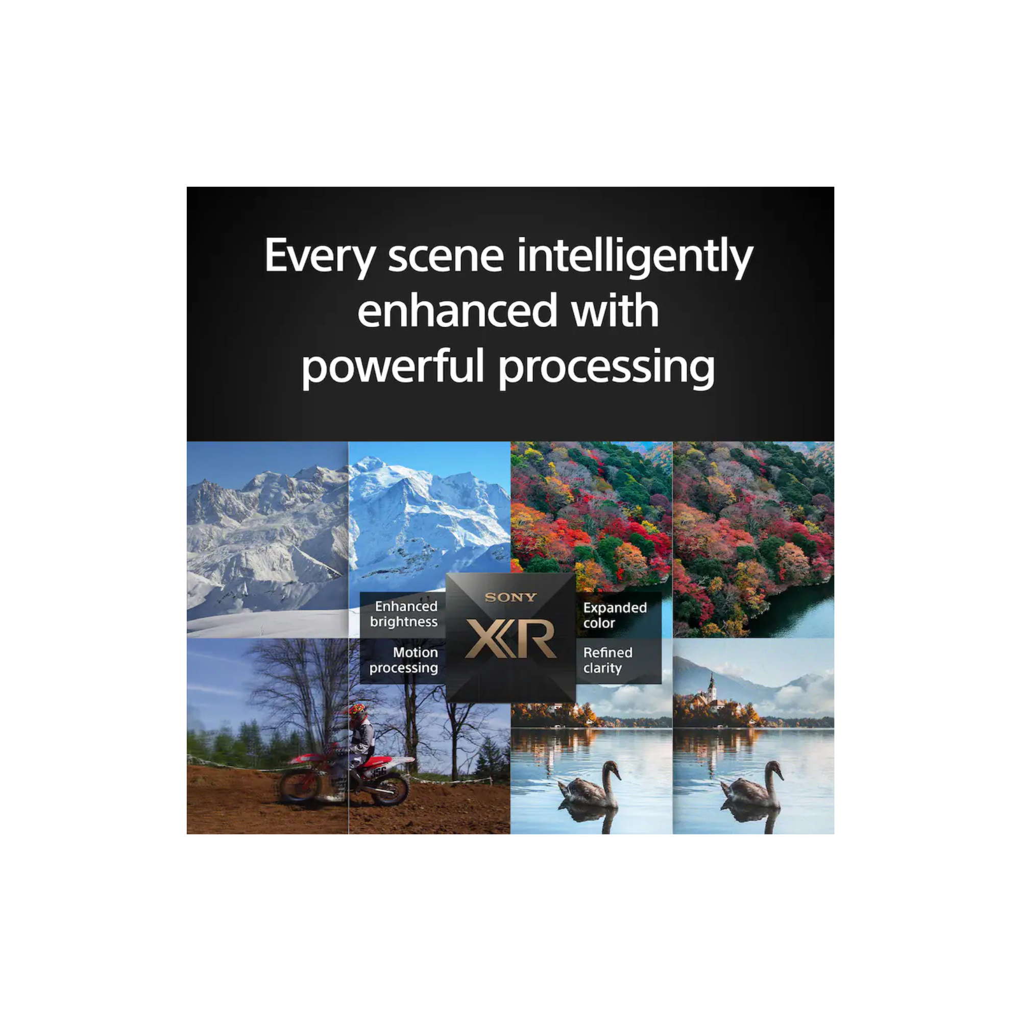 Untitled design (51).png