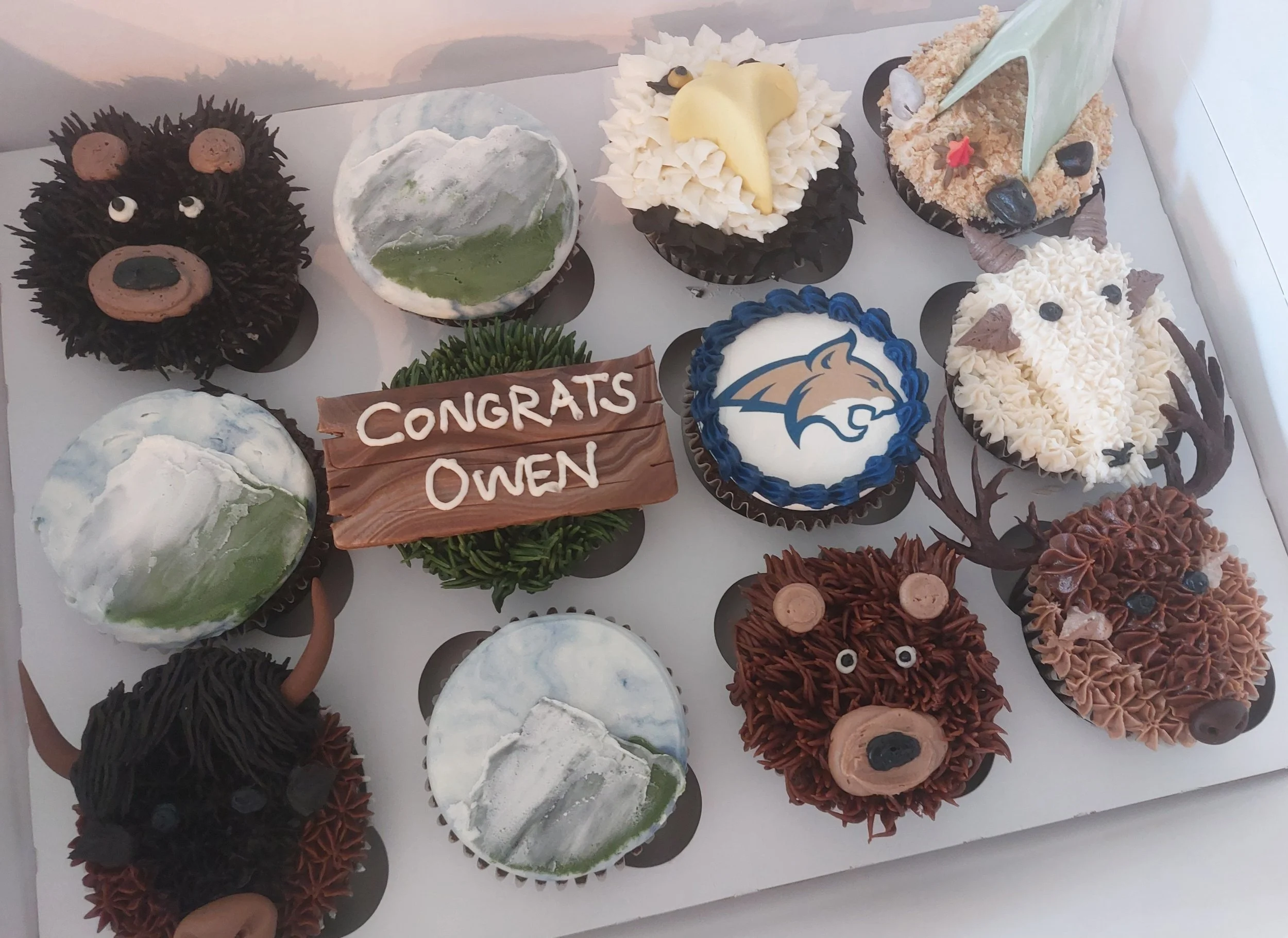 Outdoorsman cupcakes
