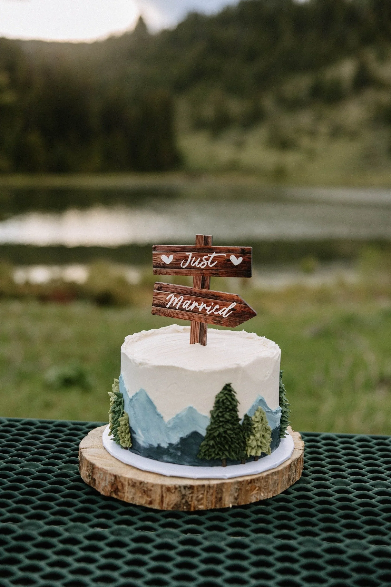 Rustic wedding cake in mountains