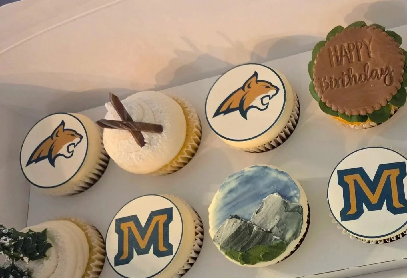 Mountains and minds Bozeman cupcakes