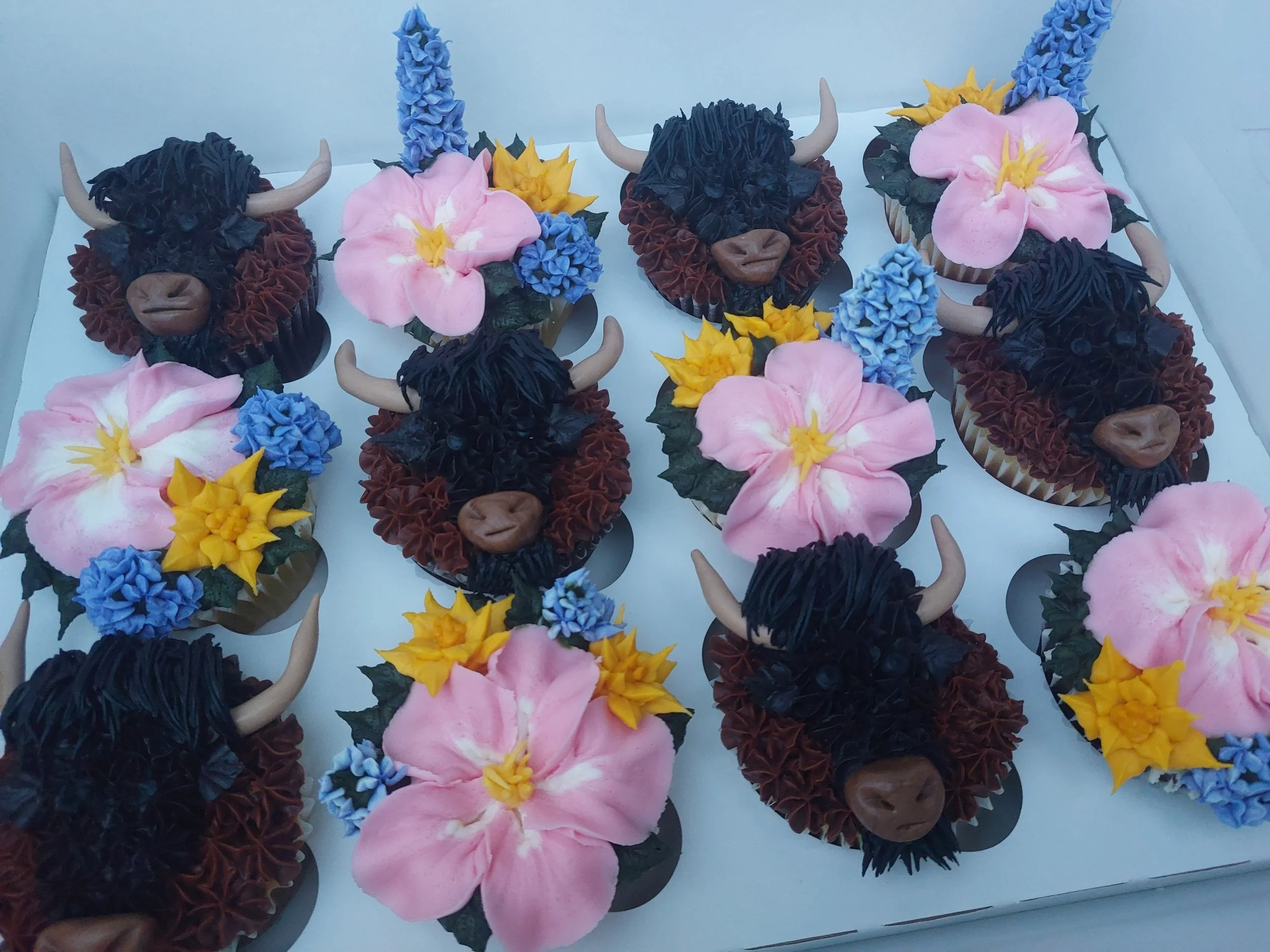 Montana wildflowers bison dozen cupcakes big sky delivery