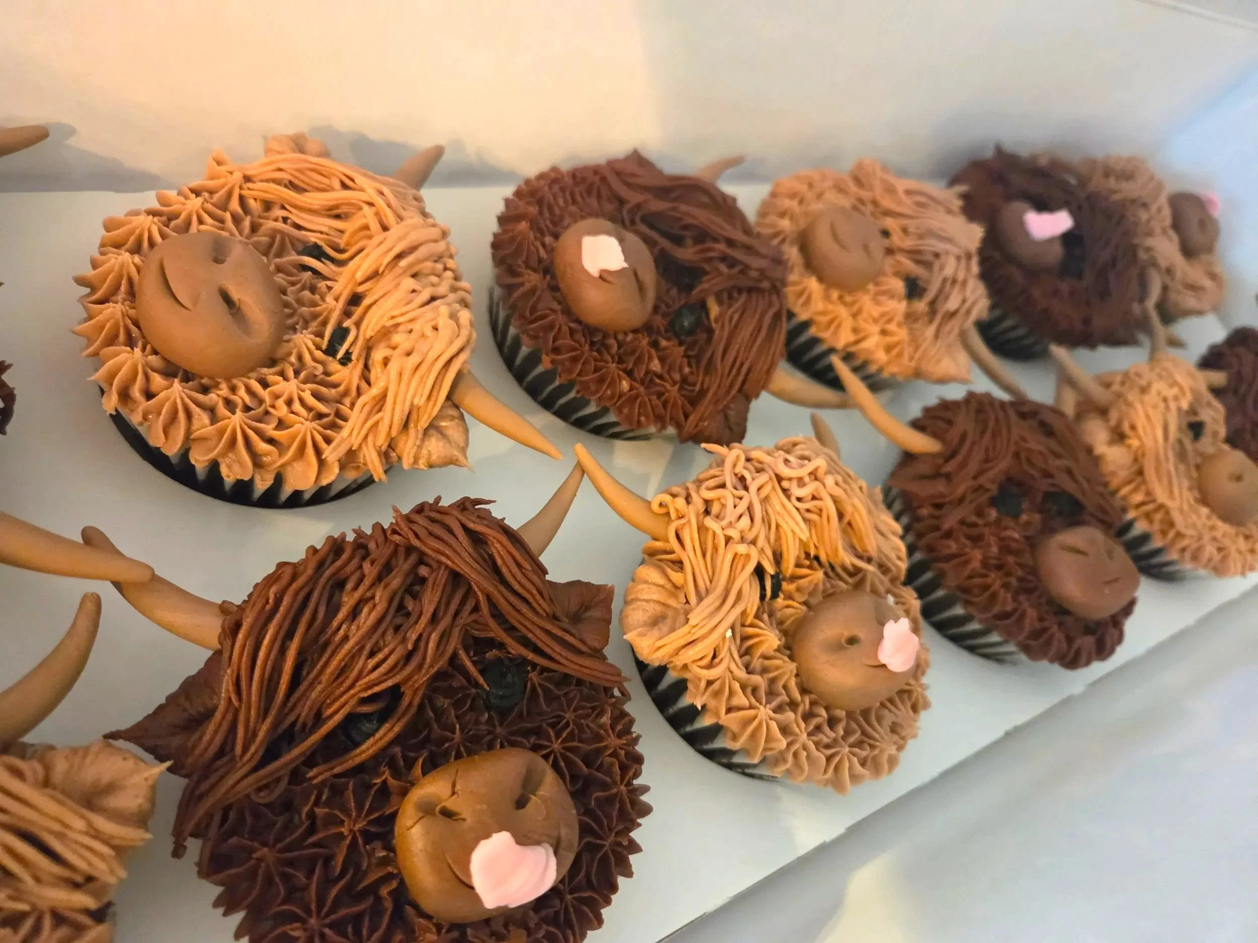 Cupcakes decorated as cute Highland cow faces with different frosting styles, colors, and facial features, on a wooden surface.