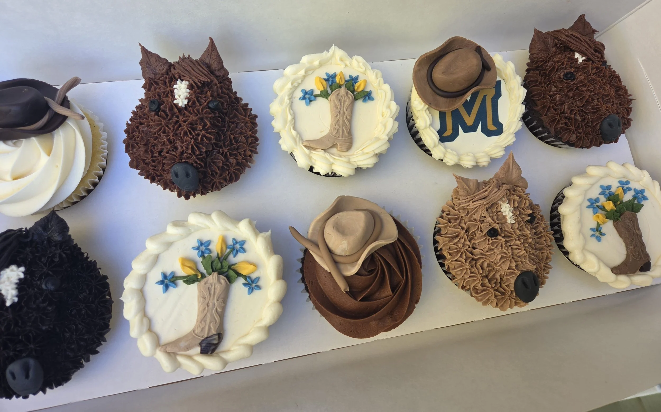 Montana state university rodeo team cupcakes