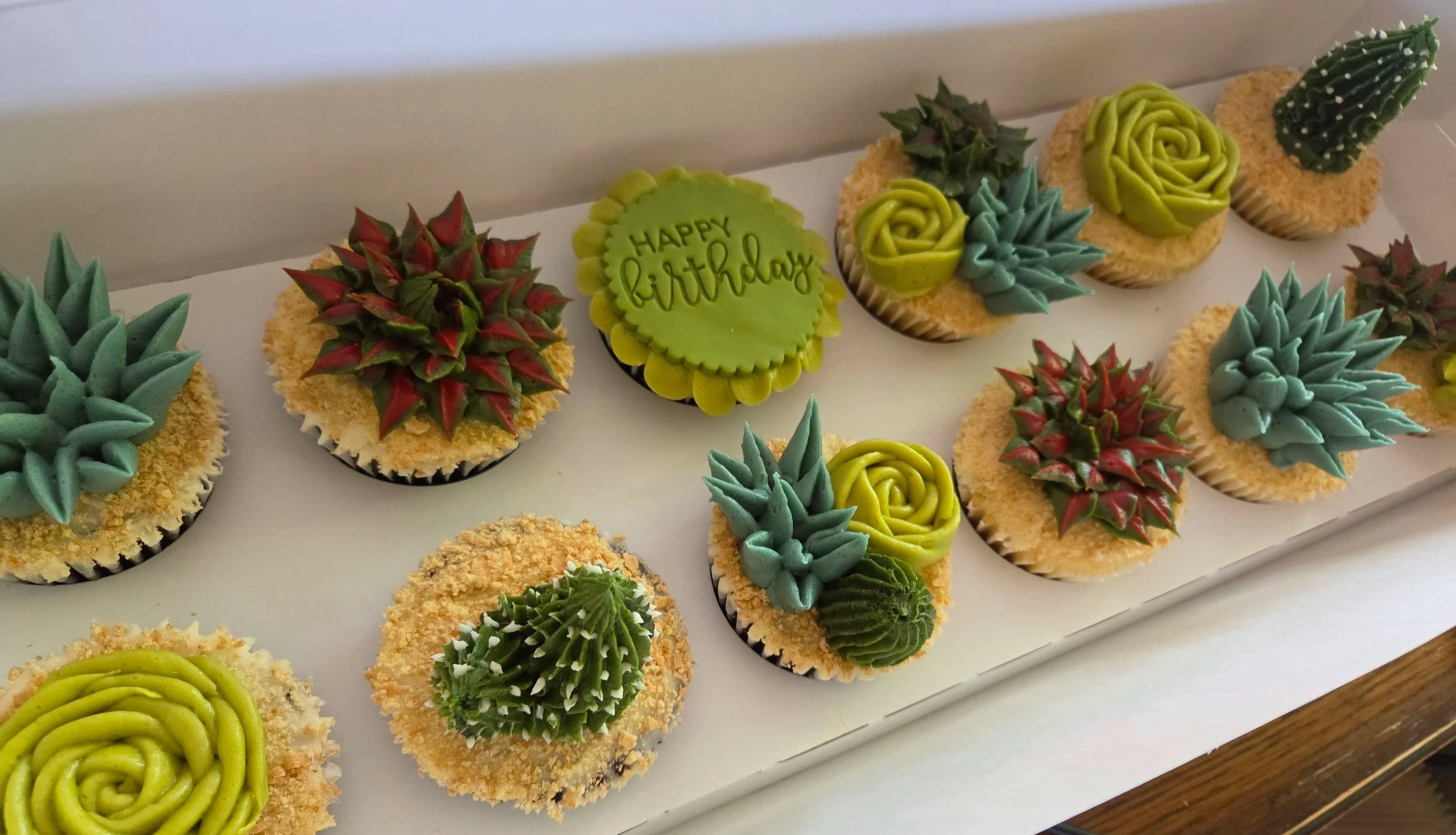A dozen succulents