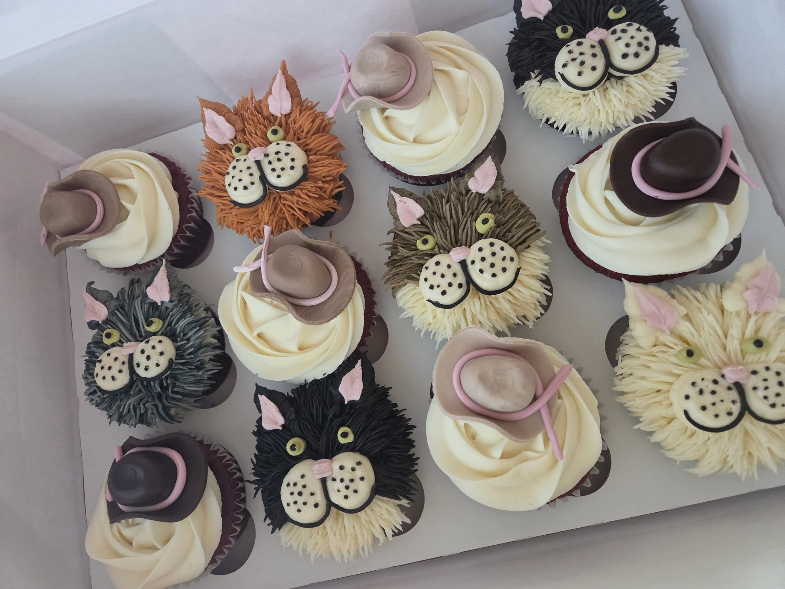 Cowboy hats cat cupcakes