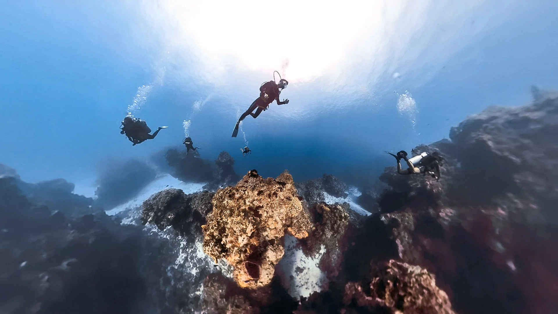 Group of scuba divers exploring underwater coral reef, with sunlight visible from surface.