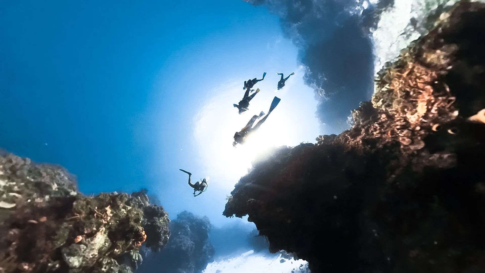 Group of scuba divers exploring underwater coral reef from below.