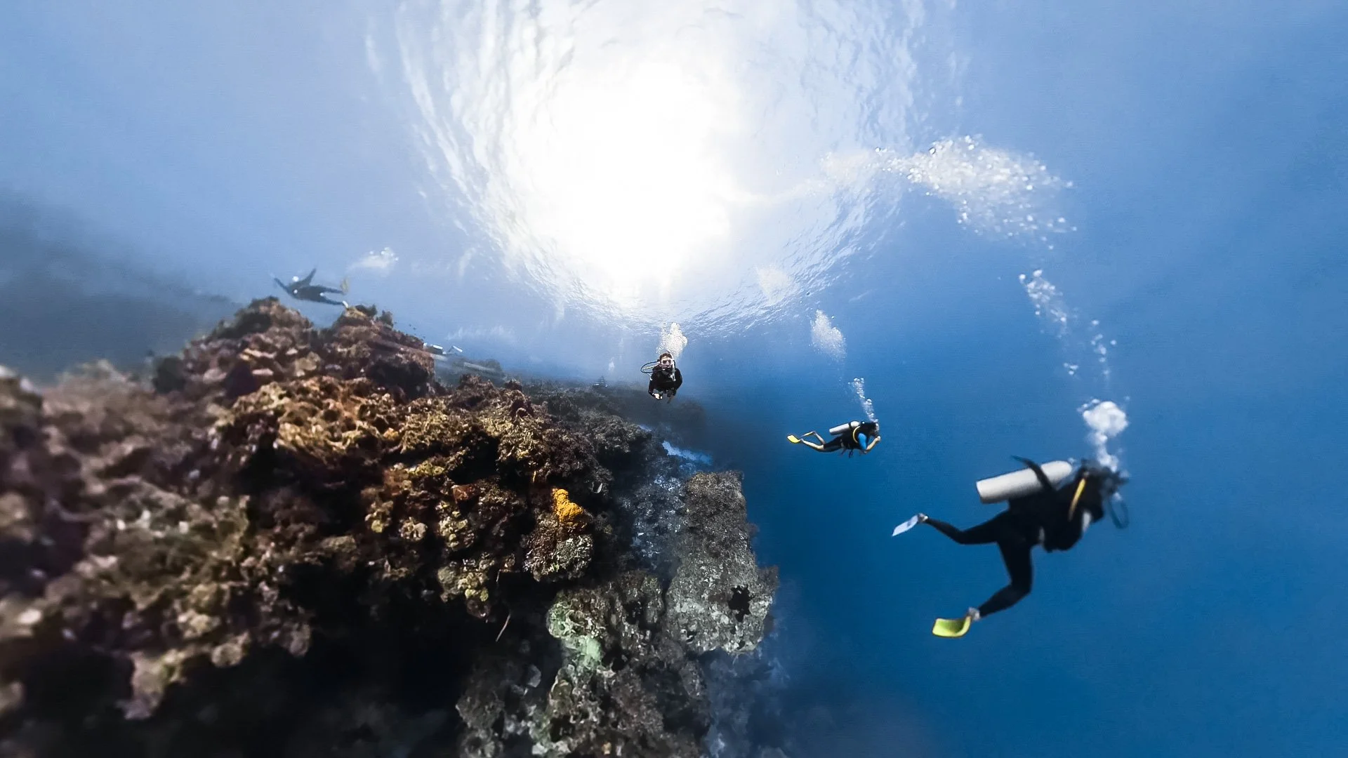 Four scuba divers are underwater near a rocky coral reef, with the sun shining above on clear blue water.