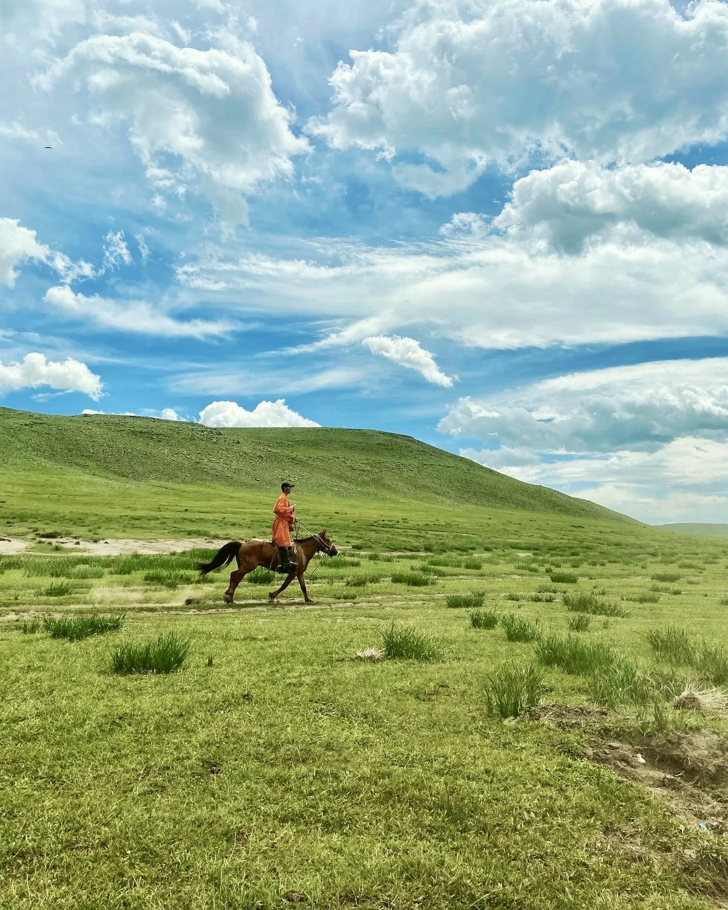 A rider in orange on a brown horse crossing open green grassland under a bright, cloudy sky in Mongolia.