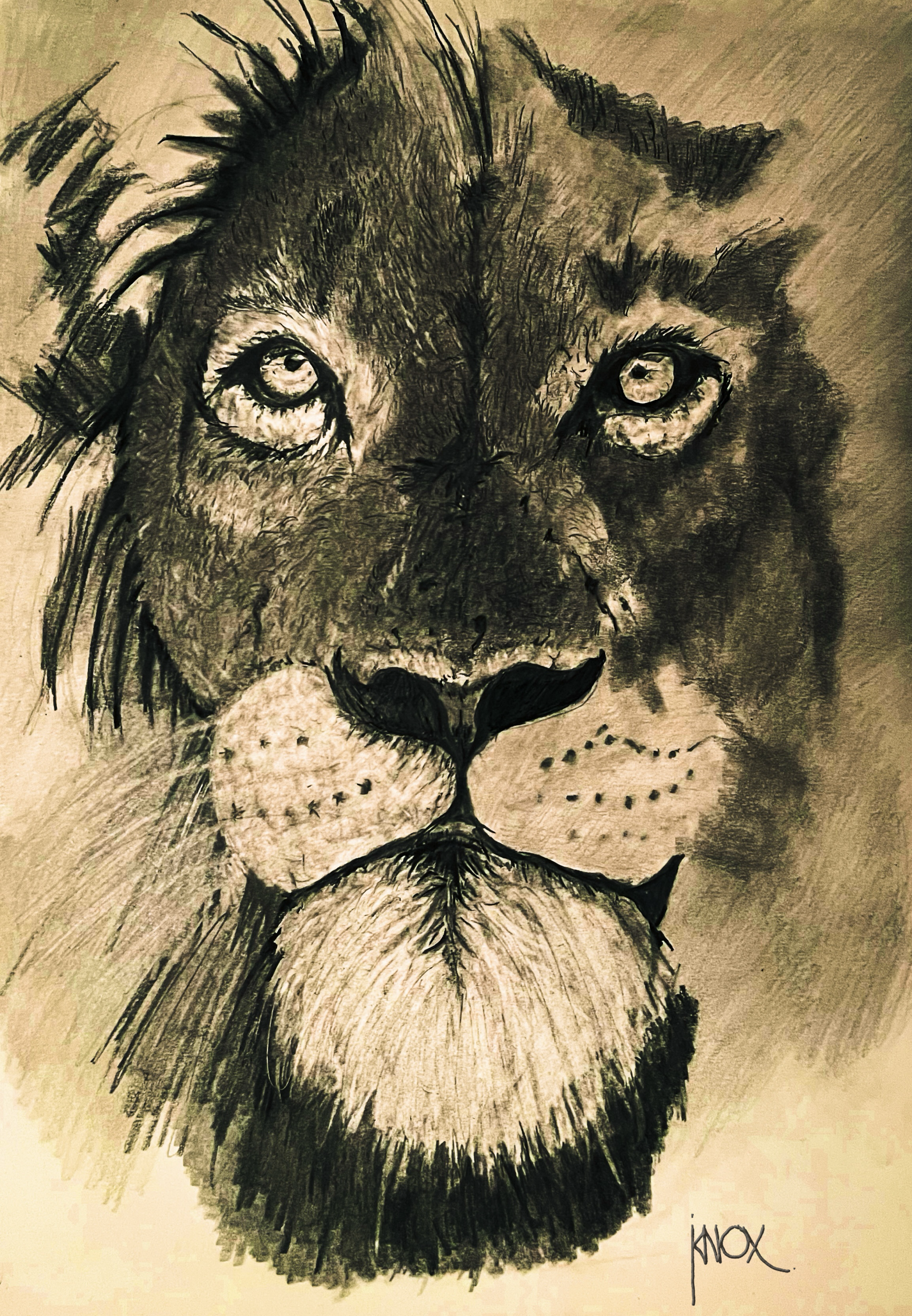 Eyes of the Serengeti