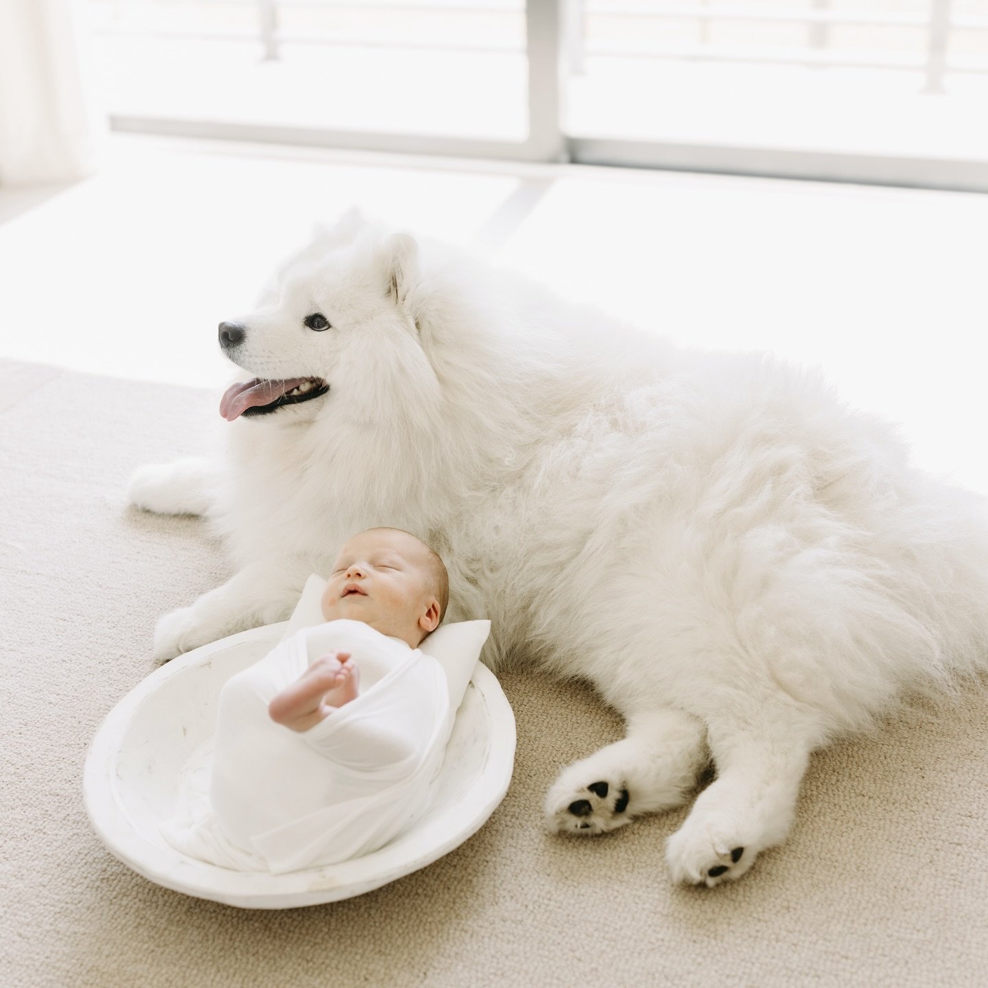 3 things you may not know about newborn sessions 🤍
	1. When to book
The best time to book your newborn session is during your 2nd trimester. I only take on 3&ndash;4 babies each month to ensure availability and a truly personalized experience for ev