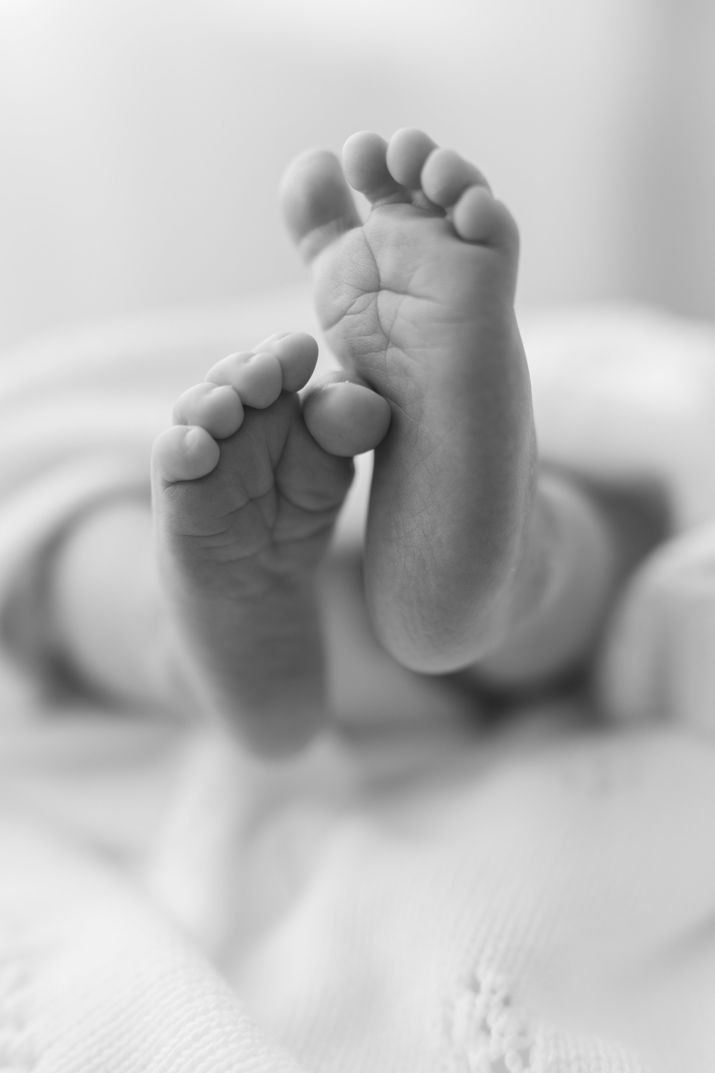 palm-beach-newborn-feet-detail-studio-photography