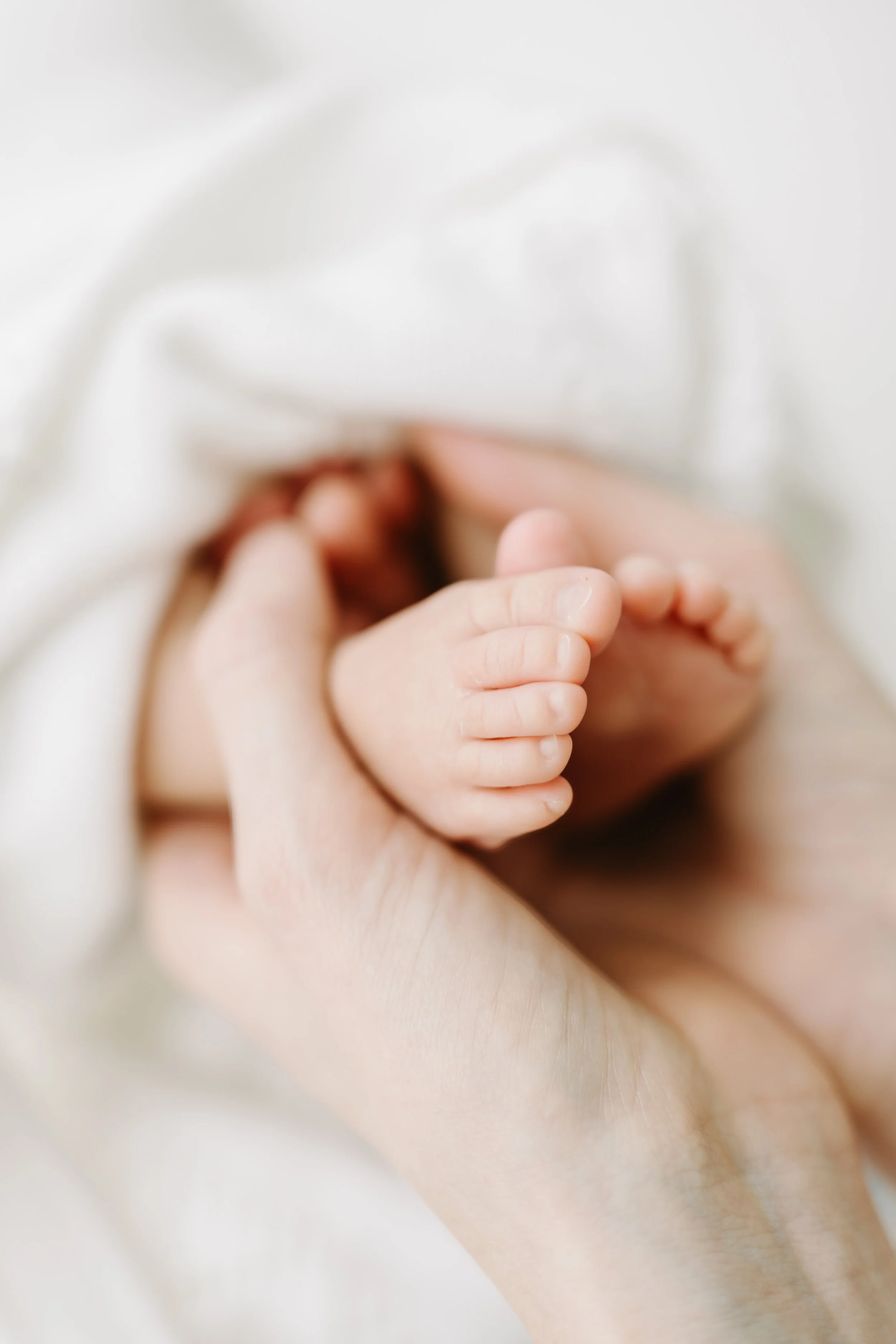 palm-beach-newborn-feet-detail-in-home-photography