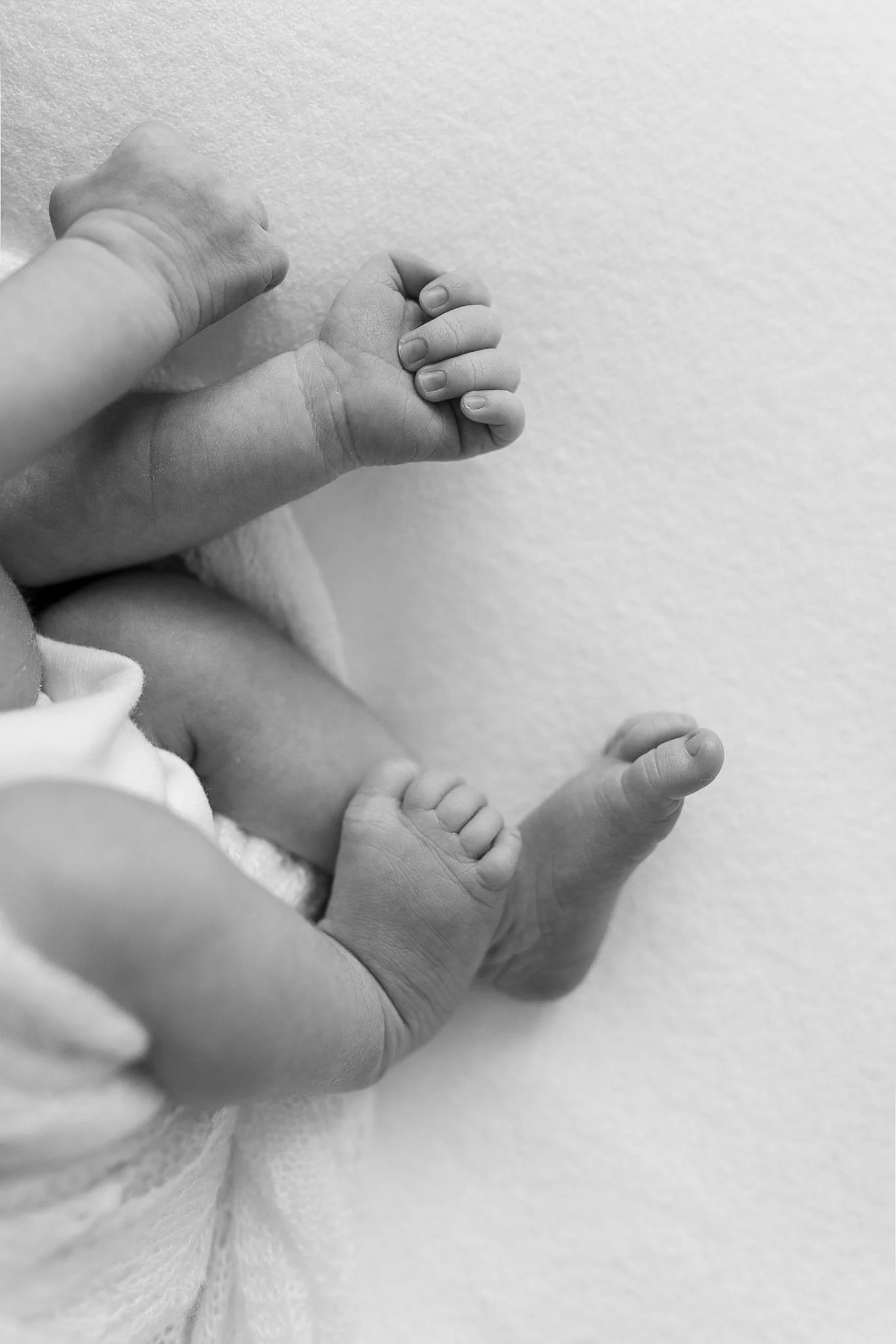 newborn-baby-details-palm-beach
