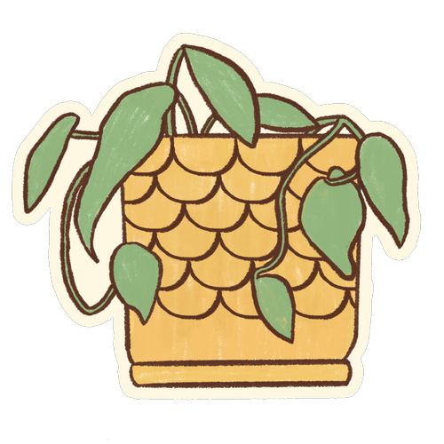 Hand-drawn plant in a pot from The Deeper Path's therapy office.