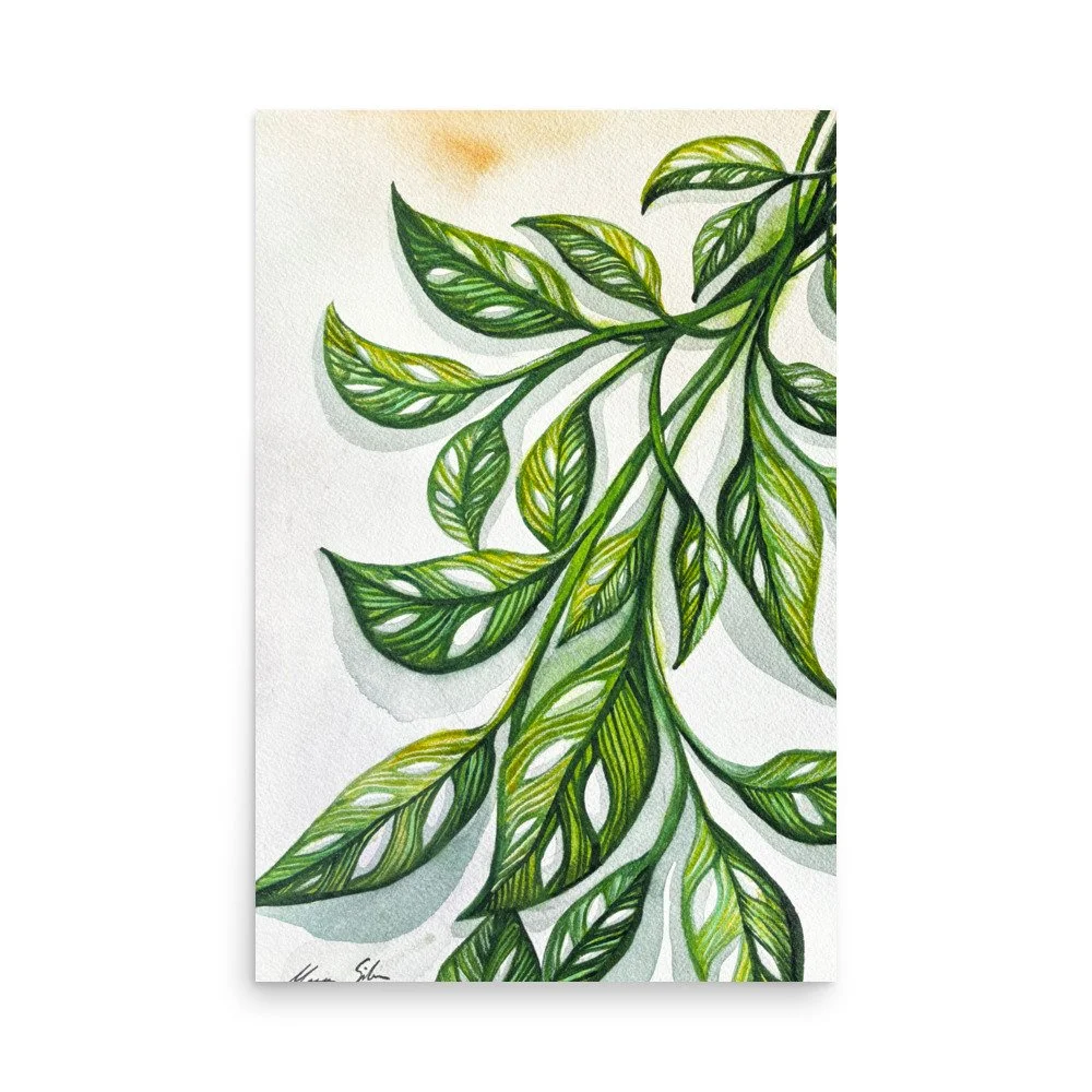 'Sun Kissed Pothos' Print