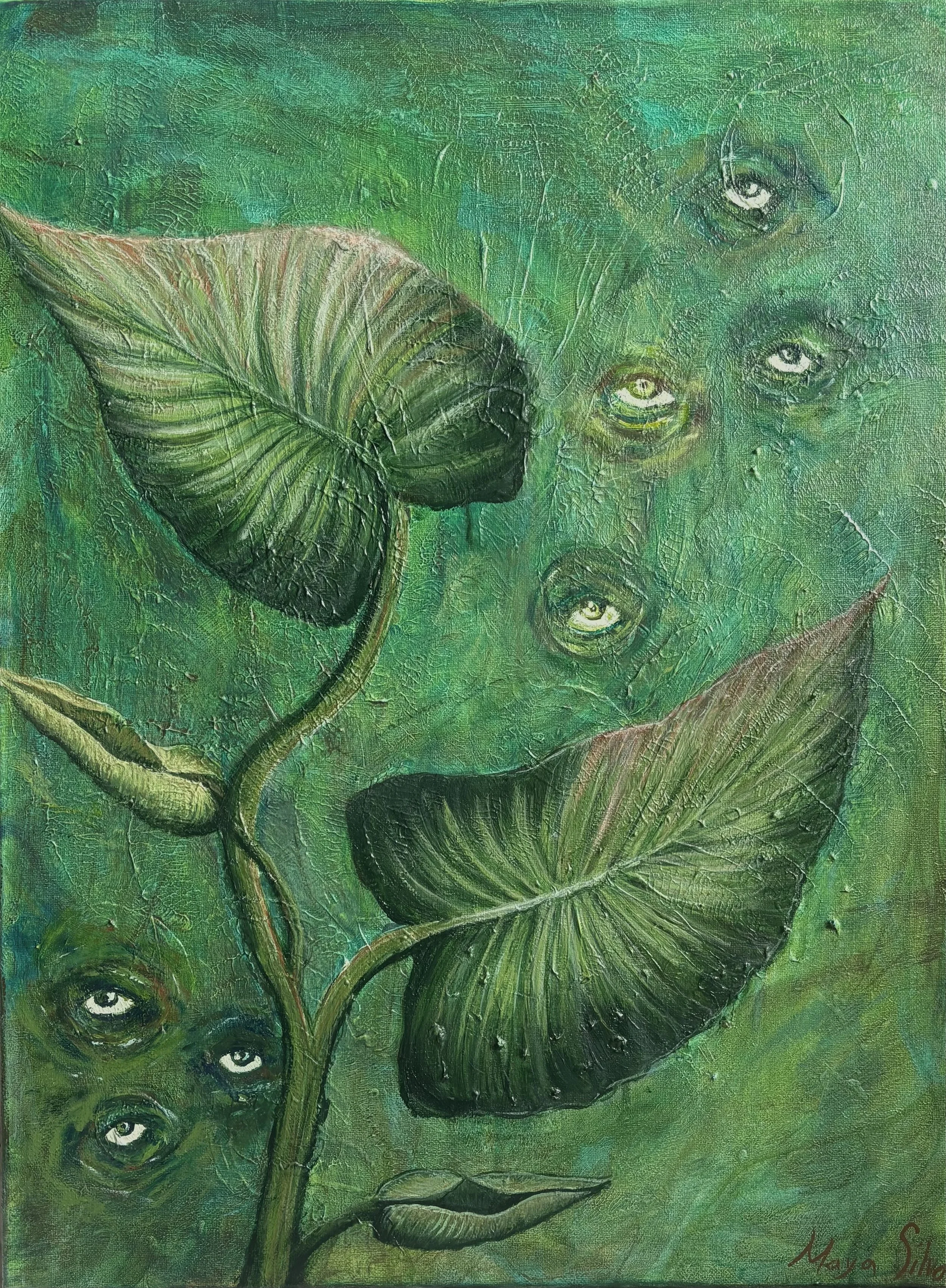 ‘The Philodendron Have Eyes’
