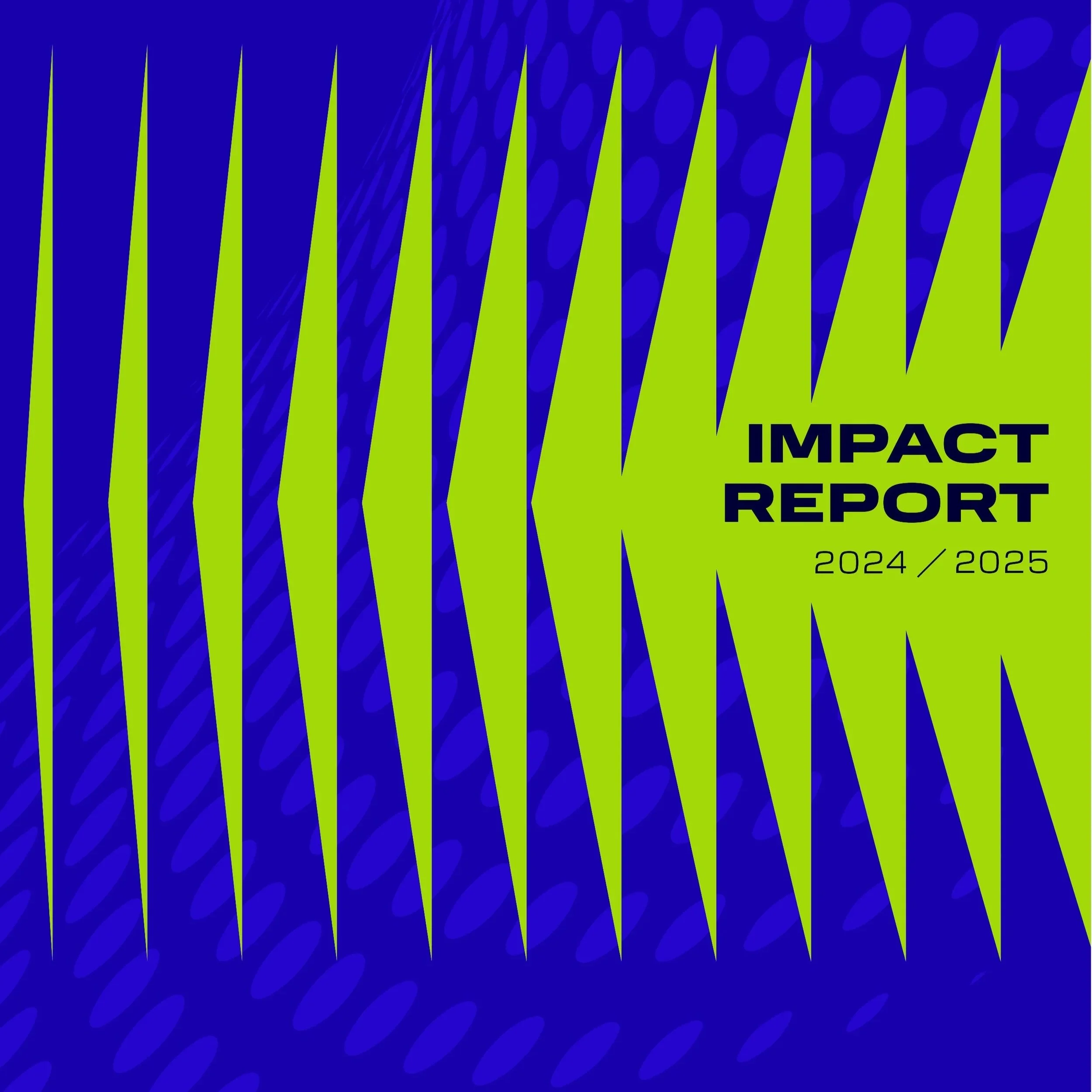 Youth Organization Infographics