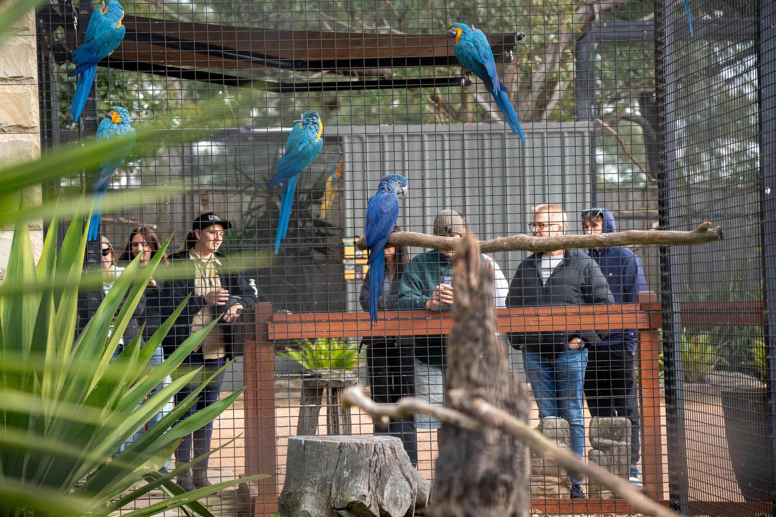 zambi tour birds.jpeg