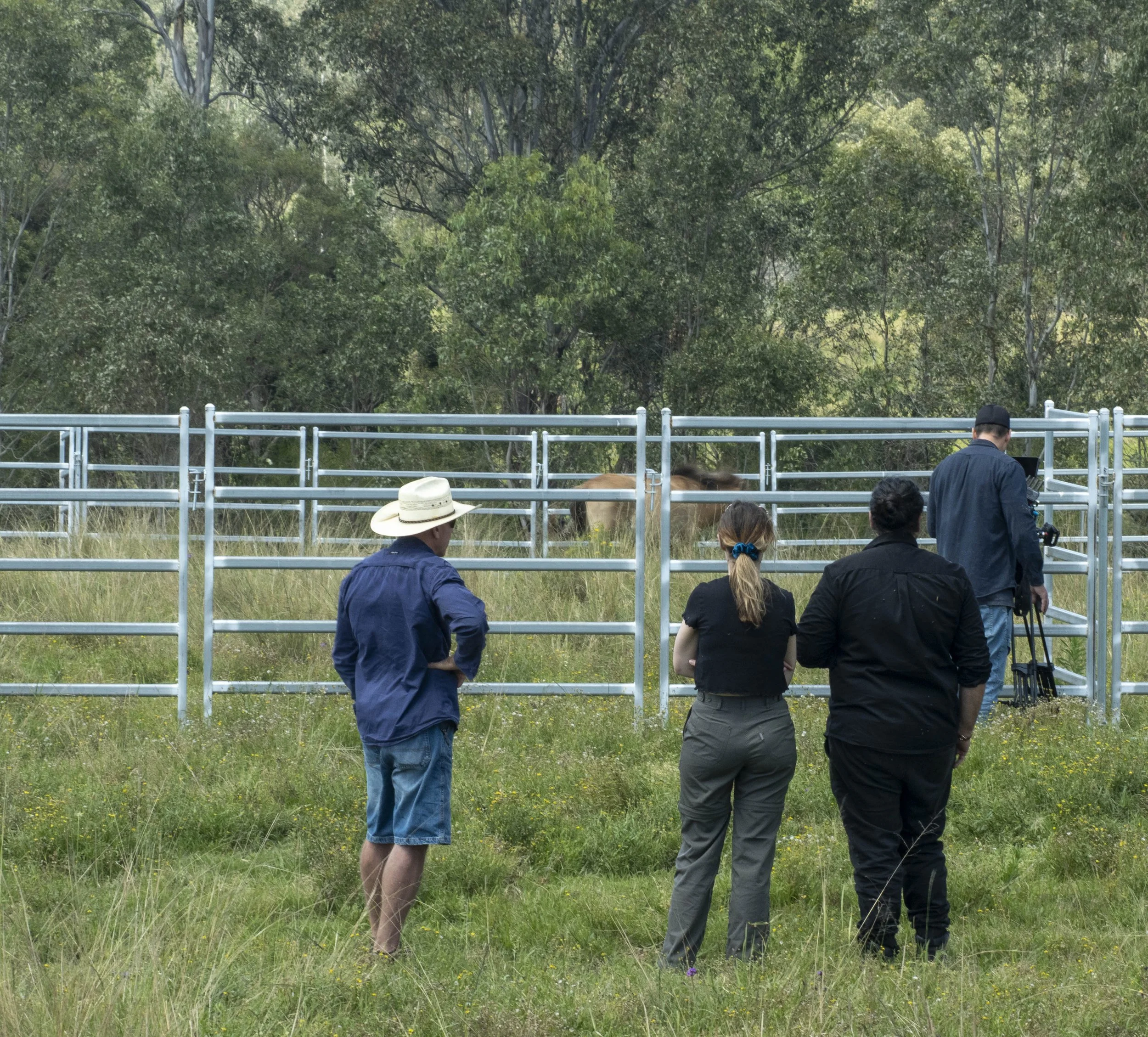fernhill p horses (15 of 37).jpg