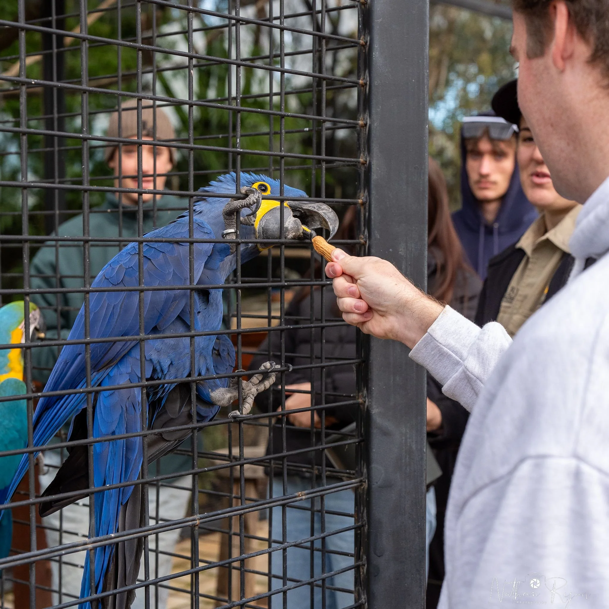 Zambi Tour birds.jpeg